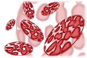 Parlamentul European aproba terapiile bazate pe celule stem din sange ombilical